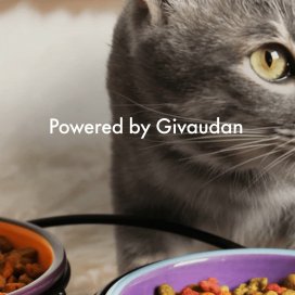 instagram post Because trust matters. Th