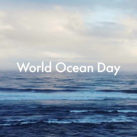 instagram post  Happy World Ocean Day!  