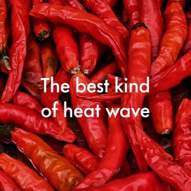 instagram post 60% of GenZ and 47% of Mi