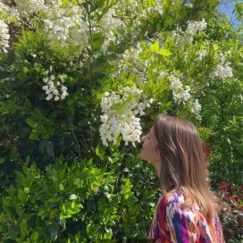 instagram post Watch and learn as Appren