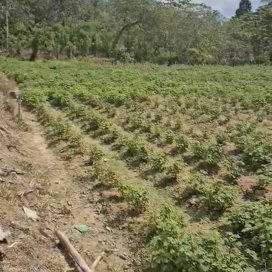 instagram post Were proud to share that 