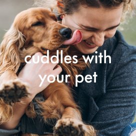 instagram post Whats your pick to celebr