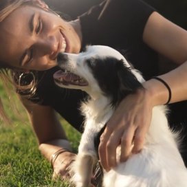 instagram post Every pet has their own p