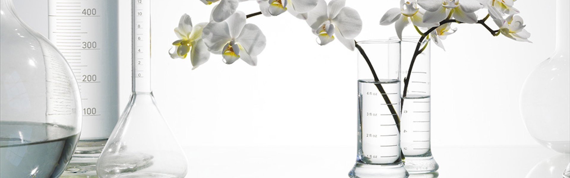 Givaudan Story