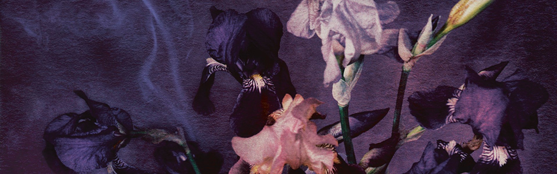 Givaudan Story